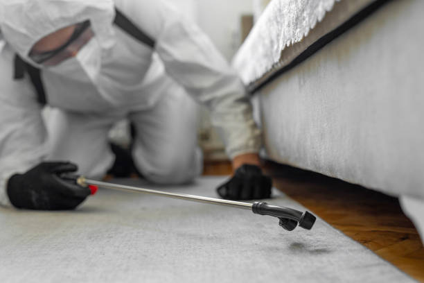Professional Termite Control technician working in Dortches, NC