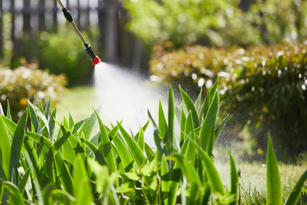 24/7 Emergency Termite Control experts in Dortches, NC
