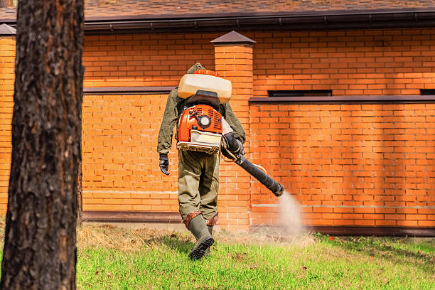 Trusted Mosquito Control service in Dortches, NC - Nex Pest Control